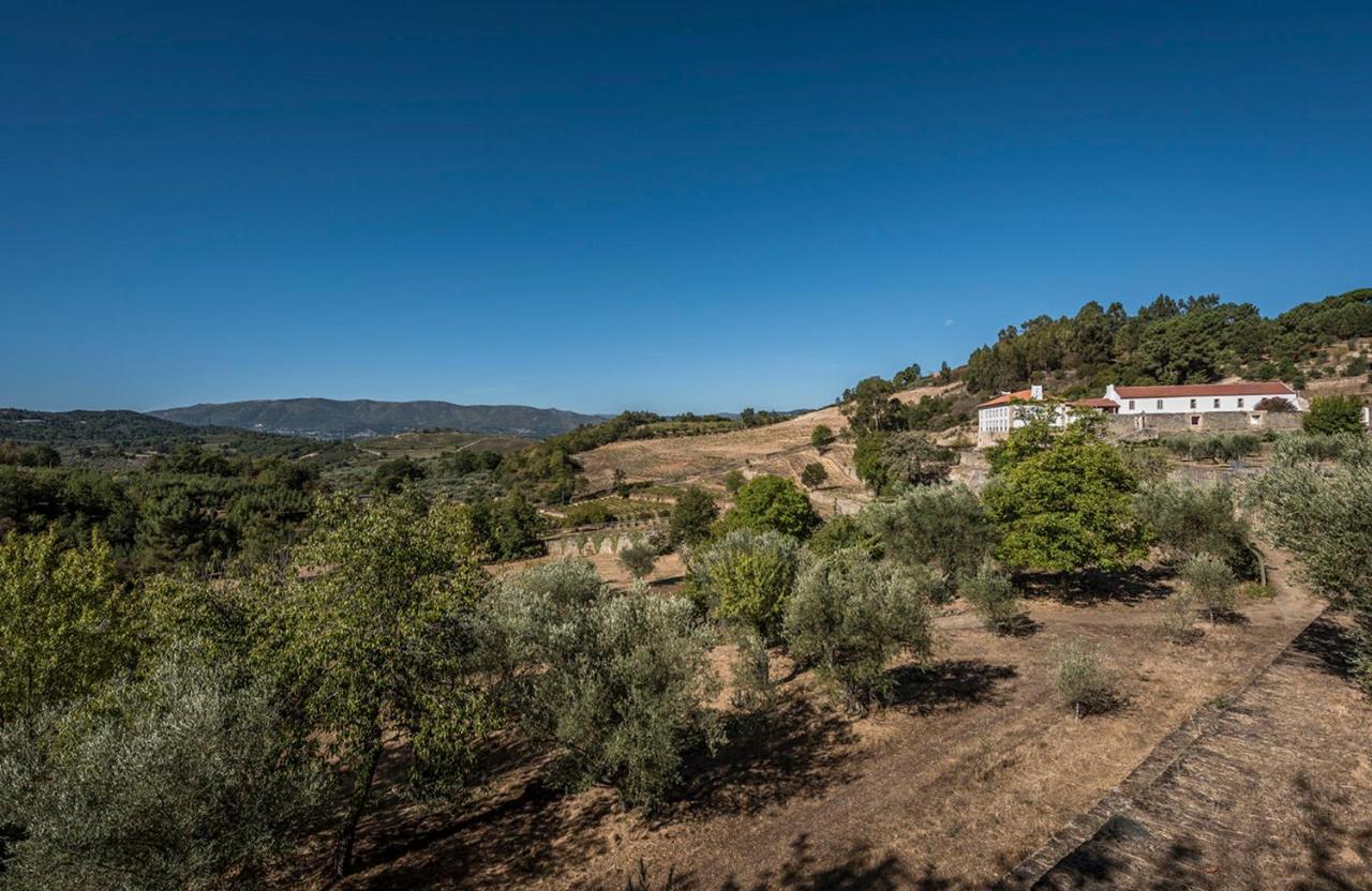 Villa Casa Do Olival à Tarouca Extérieur photo